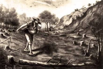  Louis Hbert prpare sa terre pour pratiquer l'agriculture en Nouvelle-France