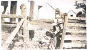 imagette a0179