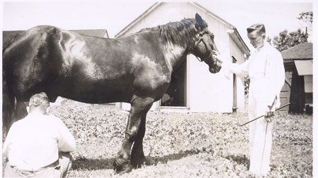 grande a0180